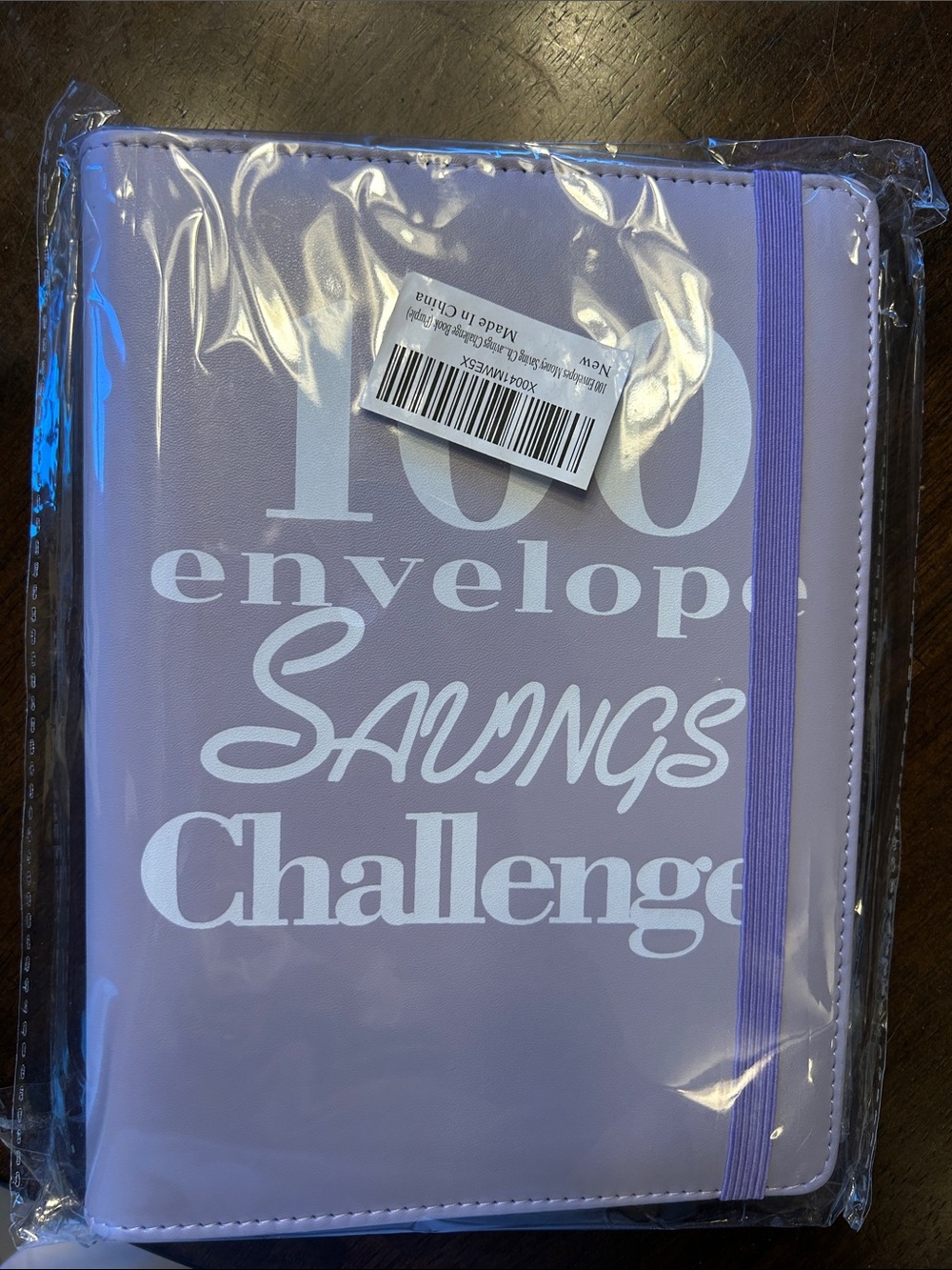 Savings Challenge Binder